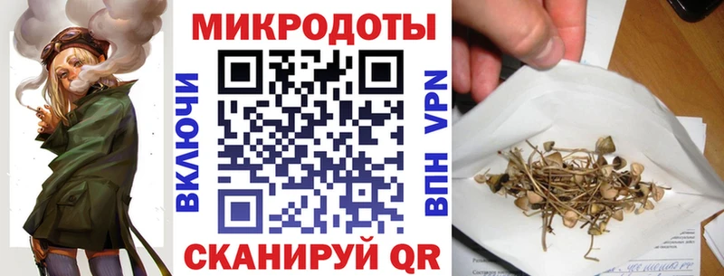 Галлюциногенные грибы GOLDEN TEACHER  Майкоп 