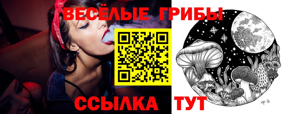Майкоп  купить закладку  Вход с VPN  Галлюциногенные грибы MAGIC MUSHROOMS 